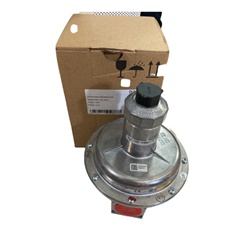 DUNGS Safety Shut-off valve FRSBV 1010  22628