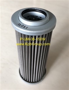 TAISEI Filter Element P-UM-06-150W