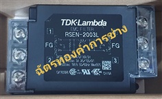 TDK RSEN-2003L