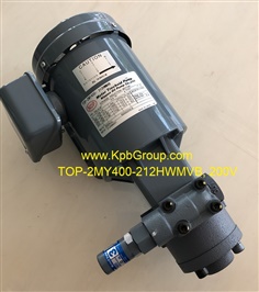 NOP Trochoid Pump TOP-2MY400-212HWMVB, 200V
