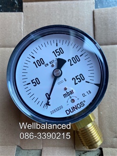Dung Pressure gauge 0/250 mbar