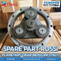 Spare Part for "ROSSI" Planetary gear reducer