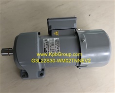 NISSEI Geared Motor G3L22S30-WM02TNNEV2