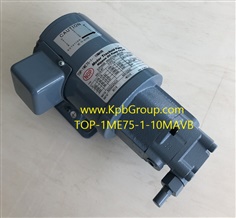 NOP Trochoid Pump TOP-1ME75-1-10MAVB, 200V