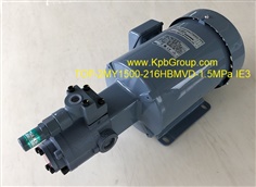 NOP Trochoid Pump With Motor TOP-2MY1500-216HBMVD IE3, 200V