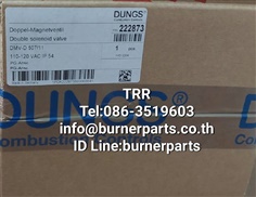 Dungs DMV-D DOUBLE GAS VALVE  DMV-D 507/11  Size:3/4  PMAX: 500 MBAR  110-120VAC IP54  P/N:222873