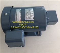 NIDEC 3-Phase Induction Motor FEQ-P, 0.75KW 200V 3PH 4P IE3
