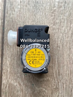 " DUNGS " Pressure Switch Model : GW 3 A6