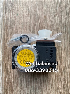 " DUNGS " Pressure Switch Model : GW 10 A5