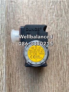 " DUNGS " Pressure Switch Model : GW 50 A6