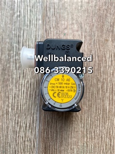 " DUNGS " Pressure Switch Model : GW 10 A6