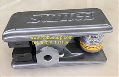 SUNTES Mini Caliper DB-3002A-1-01-R