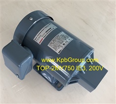 NOP 3-Phase Induction Motor TOP-2MY Series