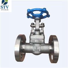 A182 F904L Forged Gate Valve ,3/4 Inch,300LB,RF End