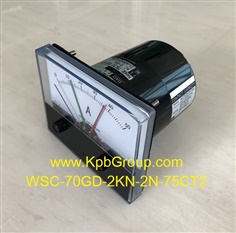 WATANABE Non-Contact Meter Relay WSC-70GD-2KN-2N-75CT2