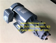 NOP Trochoid Pump TOP-2MY750-206HBM IE3, 380V