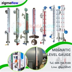 Magnetic level gauge เกจวัดระดับของเหลวแม่เหล็ก