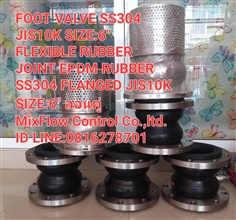 FOOT VALVE STAINLESS