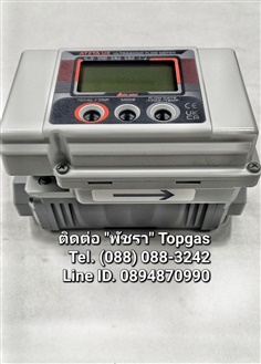 "AICHI TOKEI" Ultrasonic Flow Meter For Fuel Gas Control  ATZTA UX/UZ