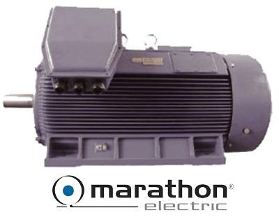 Medium Voltage Motor ,motor,Marathon,Machinery and Process Equipment/Engines and Motors/Motors