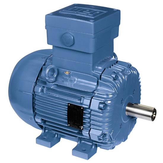 Explosion Proof Motors ,Explosion Proof Motors ,WEG,Machinery and Process Equipment/Engines and Motors/Motors