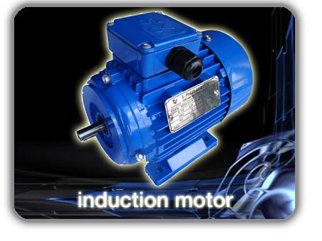 มอเตอร์ไฟฟ้า MS และ ML series ,มอเตอร์ไฟฟ้า,induction motor,,Machinery and Process Equipment/Engines and Motors/Motors