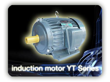 มอเตอร์ไฟฟ้า YT series,มอเตอร์ไฟฟ้า,induction motor,,Machinery and Process Equipment/Engines and Motors/Motors