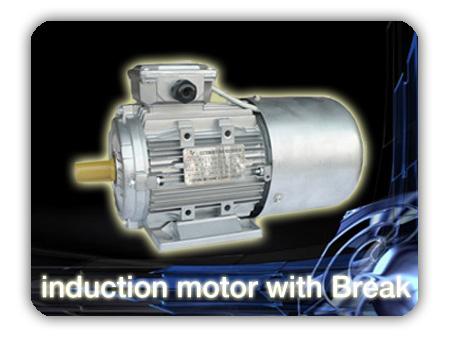 มอเตอร์ไฟฟ้า YEJ series,มอเตอร์ไฟฟ้า,induction motor,,Machinery and Process Equipment/Engines and Motors/Motors