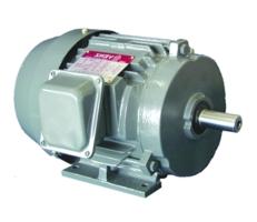 Motor B3 Foot Mounted  มอเตอร์ไฟฟ้า,Induction Motors,VENZ,Machinery and Process Equipment/Engines and Motors/Motors