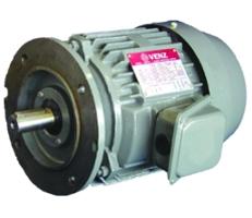 Motor B5 Flange series  มอเตอร์,มอเตอร์หน้าแปลน,VENZ,Machinery and Process Equipment/Engines and Motors/Motors