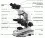 MICROSCOPES กล้องจุลทรรศน์ รุ่น 162 ยี่ห้อ NATIONAL U.S.A.,MICROSCOPES กล้องจุลทรรศน์ รุ่น 162 ยี่ห้อ NATIONAL U.S.A.,,Instruments and Controls/Microscopes
