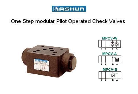 ASHUN - Modular check valve,ASHUN-MPCV-02WMPCV-02P /MPCV-02A /MPCV-02B / Modular check valve,ASHUN,Machinery and Process Equipment/Machinery/Hydraulic Machine