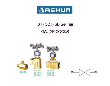 ASHUN - Gauge Cocks,ASHUN - ST-02 / ST-03 /ST-04 /GCT-02 /SB-02 / Gauge Cock,ASHUN,Machinery and Process Equipment/Machinery/Hydraulic Machine