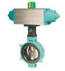 tomoe valve,tomoe valve,tomoe ,Pumps, Valves and Accessories/Valves/Butterfly Valves