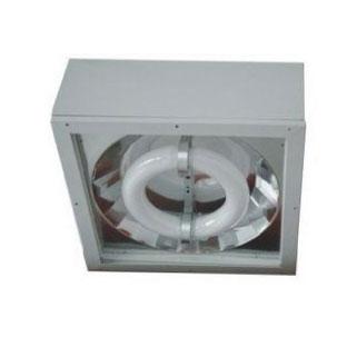 Ceiling Light (Induction Lamp),Downlight,Induction Lamp,Energy and Environment/Environment Instrument