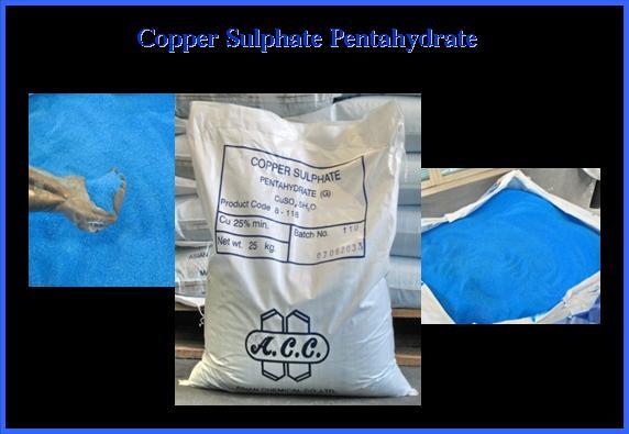 Copper Sulphate, คอปเปอร์ซัลเฟต,Copper Sulphate, คอปเปอร์ซัลเฟต, copper, คอปเปอร์,ACC,Chemicals/Additives