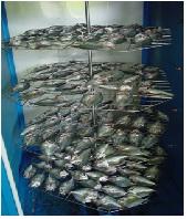 เครื่องอบปลาแห้ง(2) (ทำปลาแห้ง ผลิตผลทางการเกษตร),เครื่องทำปลาแห้ง, ปลาแดดเดียว,,Energy and Environment/Energy Projects