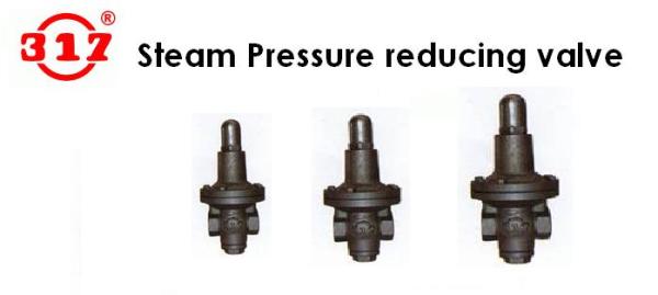 "317" Cast Iron Pressure Reducing Valve ,pressure reducing valve / reducing valve,317,Machinery and Process Equipment/Boilers/Steam Boiler