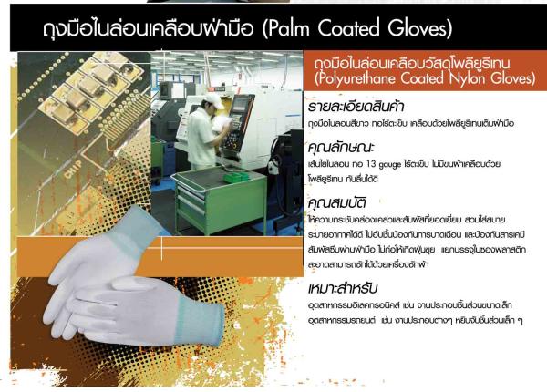 ถุงมือไนล่อนเคลือบฝ่ามือ (Palm coated Gloves),ถุงมือไนล่อนเคลือบฝ่ามือ (Palm coated Gloves),tonga,Plant and Facility Equipment/Safety Equipment/Gloves & Hand Protection