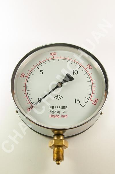 Pressure Gauge,Pressure Gauge,TK,Instruments and Controls/Measurement Services