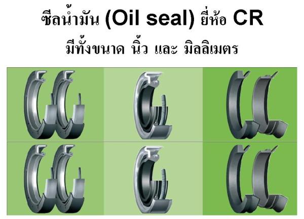 ซีล CR ( CR Seal ),ซีล CR,CR , SKF,Hardware and Consumable/Seals and Rings