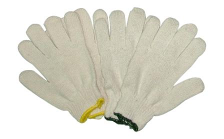 ถุงมือผ้า, ถุงมือผ้าถัก, ถุงมือผ้าทอ, ถุงมือผ้าฝ้าย, Gloves, Cotton Gloves,ถุงมือผ้า,ถุงมือ,Glove,Cotton Gloves,gloves,ถุงมือผ้าถัก,ถุงมือผ้าทอ,ถุงมือผ้าฝ้าย,,Plant and Facility Equipment/Safety Equipment/Gloves & Hand Protection