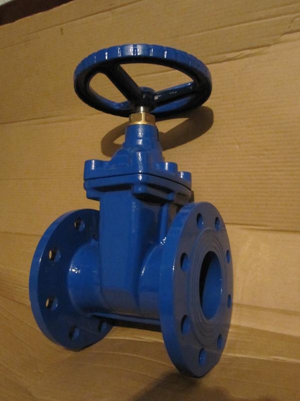 Resilient Seated Gate Valve,Resilient Seated Gate Valve,TVT,HY,Pumps, Valves and Accessories/Valves/Gate Valves