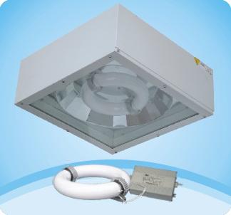 INDUCTION LAMP GARAGE LIGHTING,INDUCTION LAMP,YML,Electrical and Power Generation/Electrical Components/Lighting Fixture