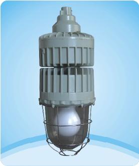 INDUCTION LAMP EXPLOSIVE PROOF,INDUCTION LAMP,YML,Electrical and Power Generation/Electrical Components/Lighting Fixture