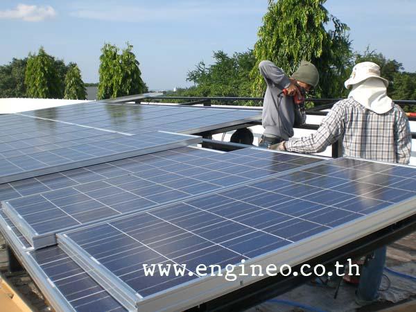 แผงเซลล์แสงอาทิตย์ แผงโซล่าเซลล์,แผงเซลล์แสงอาทิตย์ แผงโซล่าเซลล์,SHARP, TrinaSolar, Engineo Solar, Eco Green,Energy and Environment/Solar Energy Products/Solar Cells, Solar Panel