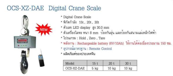 เครื่องชั่ง ZEPPER รุ่น OCS-XZ-DAE Digital Crane Scales,จำหน่ายเครื่องชั่ง crane , OCS-XZ-DAE , Digital Crane Scales,ZEPPER,Instruments and Controls/Scale/Hanging Scale & Crane Scale