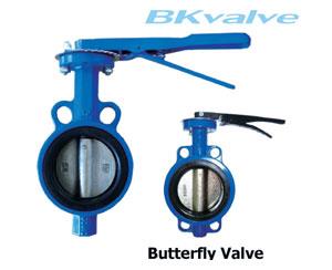 BUTTERFLY VALVE,Butterfly ,BKvalve,Pumps, Valves and Accessories/Valves/Butterfly Valves