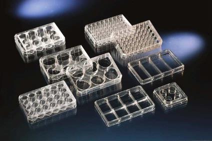Thermo Scientific Nunclon Multidishes with Coated Surfaces,Nunclon Multidishes,Fisher Scientific,Tool and Tooling/Accessories