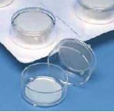 Thermo Scientific Nunc Tissue Culture Inserts,Nunc Tissue Culture Inserts,Fisher Scientific,Tool and Tooling/Accessories